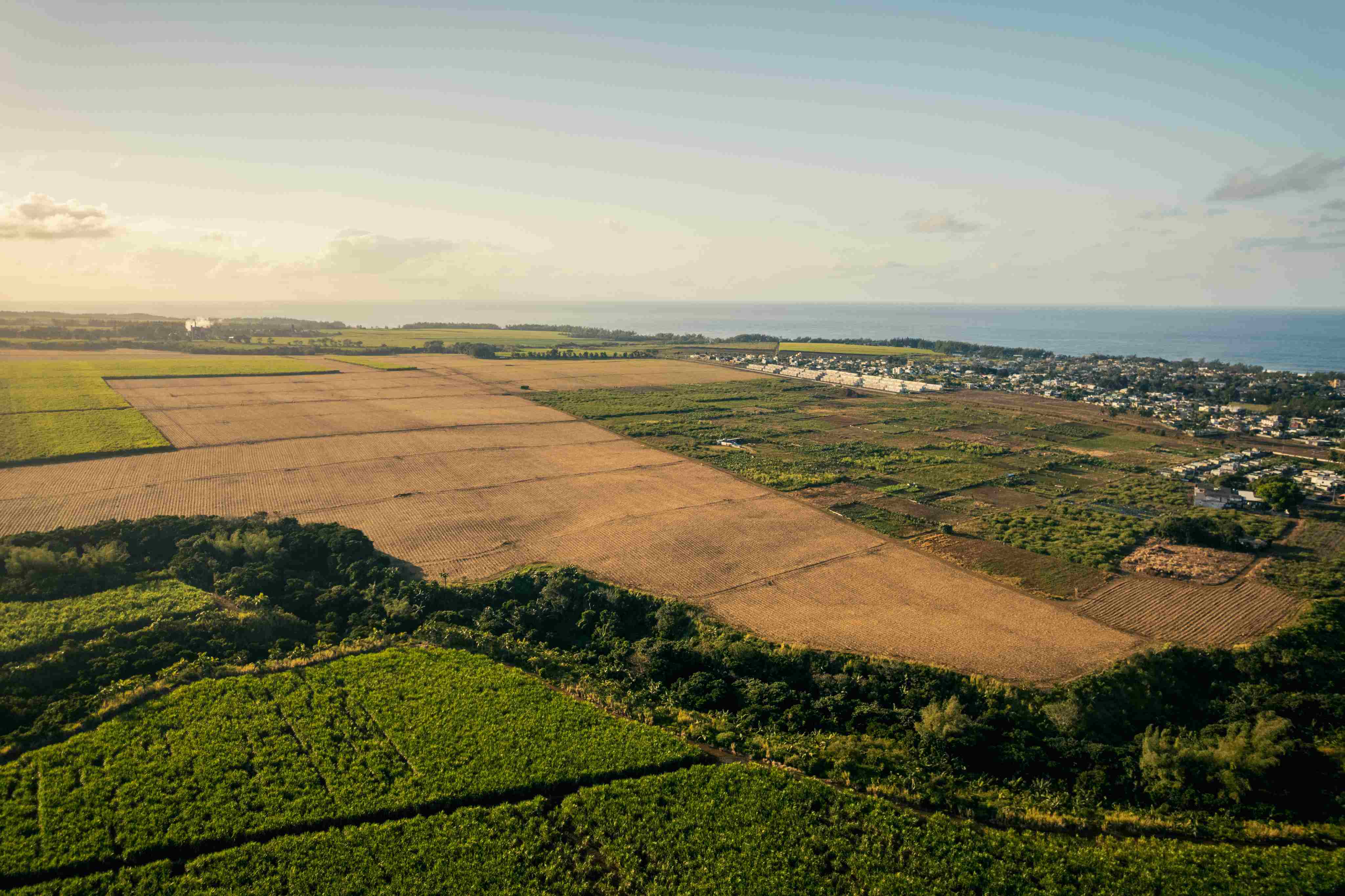 Aerial view of all phases at Verdaya Domaine Agricole